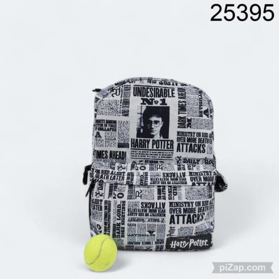 Imagen de MOCHILA MOOVING 17¨ ESPALDA HARRY POTTER 2.26